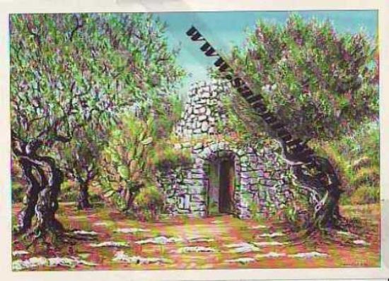 Immagine di CARTOLINA 11 X 16 QUADRO G. SCANDEREBECH - TRULLO DEL SALENTO