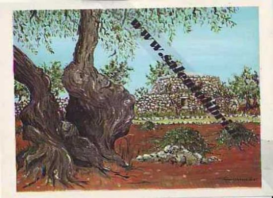 Immagine di CARTOLINA 11 X 16 QUADRO G. SCANDEREBECH - ALLISTE: TRULLO A CAPILUNGO