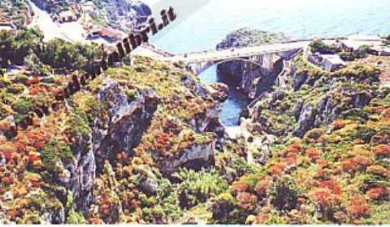 Immagine di CARTOLINA 10 X 17 PONTE CIOLO - GAGLIANO DEL CAPO