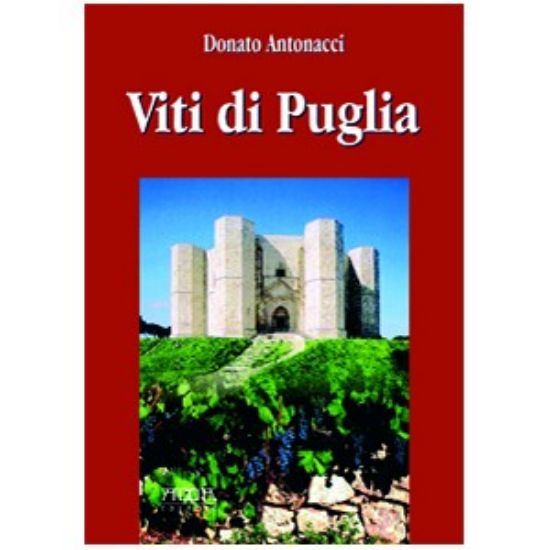 Immagine di Viti di Puglia