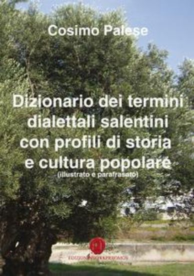 Immagine di DIZIONARIO DEI TERMINI DIALETTALI SALENTINI CON PROFILI DI STORIA E CULTURA POPOLARE