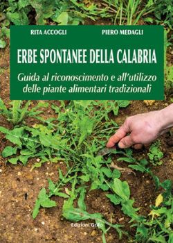 Visualizza i dettagli per ERBE SPONTANEE DELLA CALABRIA. GUIDA AL RICONOSCIMENTO E ALL`UTILIZZO DELLE PIANTE ALIMENTARI TR... Immagine di ERBE SPONTANEE DELLA CALABRIA. GUIDA AL RICONOSCIMENTO E ALL`UTILIZZO DELLE PIANTE ALIMENTARI TR...