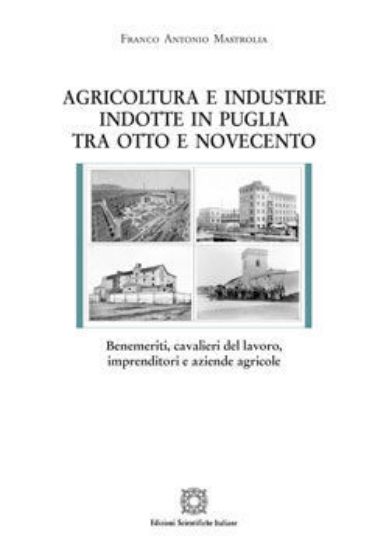 Immagine di AGRICOLTURA E INDUSTRIE INDOTTE IN PUGLIA TRA OTTOCENTO E NOVECENTO