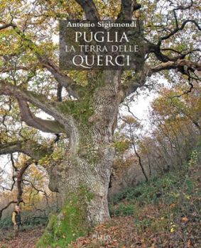 Visualizza i dettagli per PUGLIA. LA TERRA DELLE QUERCI. I BOSCHI DI PUGLIA: DESCRIZIONE, STORIA, VALORE, PROBLEMI DI CONS... Immagine di PUGLIA. LA TERRA DELLE QUERCI. I BOSCHI DI PUGLIA: DESCRIZIONE, STORIA, VALORE, PROBLEMI DI CONS...