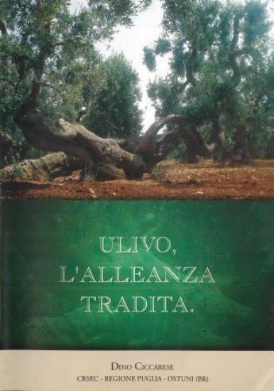 Immagine di ULIVO, L`ALLEANZA  TRADITA