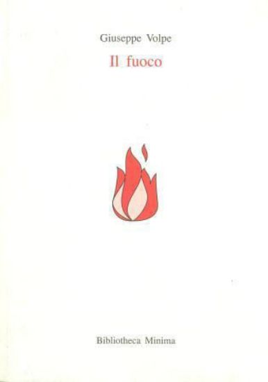 Immagine di IL FUOCO ( POESIE )