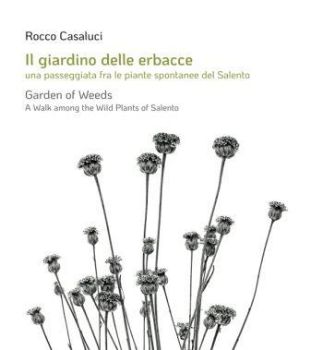 Visualizza i dettagli per GIARDINO DELLE ERBACCE. UNA PASSEGGIATA FRA LE PIANTE SPONTANEE DEL SALENTO. ITA/ENG Immagine di GIARDINO DELLE ERBACCE. UNA PASSEGGIATA FRA LE PIANTE SPONTANEE DEL SALENTO. ITA/ENG