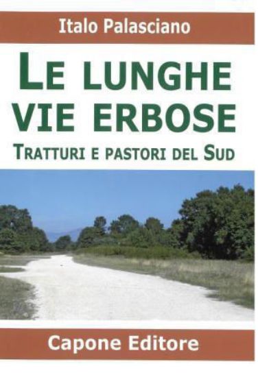 Immagine di LUNGHE VIE ERBOSE - TRATTURI E PASTORI