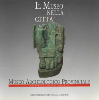 Visualizza i dettagli per IL MUSEO NELLA CITTA` Immagine di IL MUSEO NELLA CITTA`