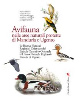 Visualizza i dettagli per AVIFAUNA NELLE AREE NATURALI PROTETTE DI MANDURIA E UGENTO Immagine di AVIFAUNA NELLE AREE NATURALI PROTETTE DI MANDURIA E UGENTO